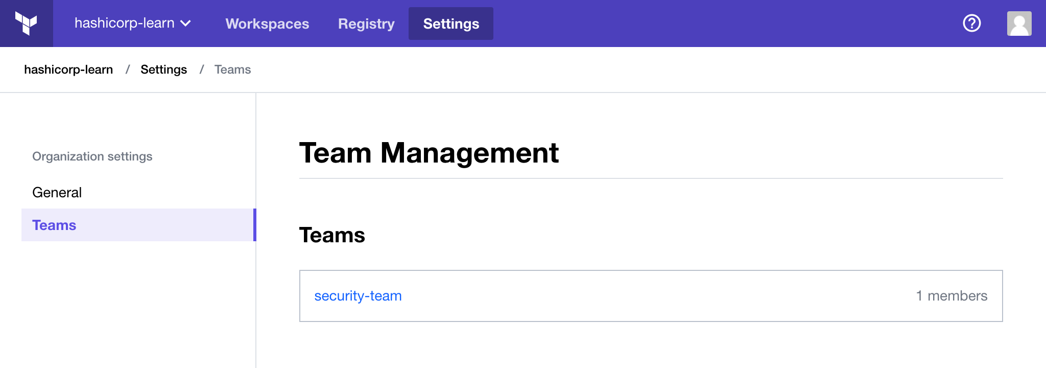 View teams in Terraform Enterprise